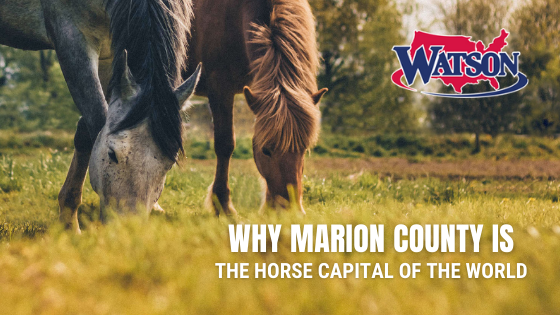 Marion County